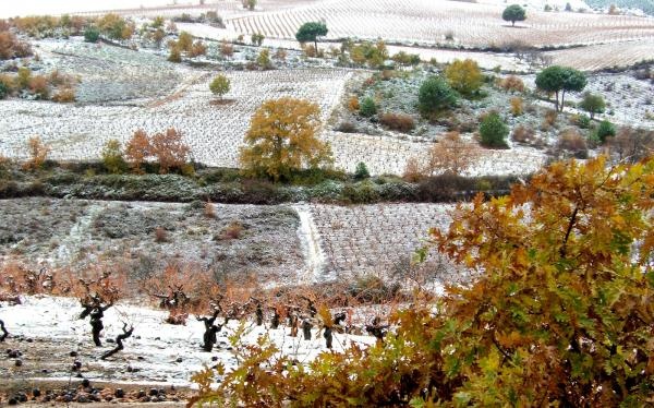 Bierzo winter