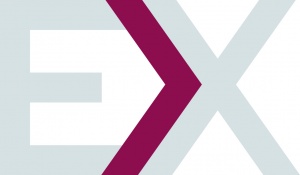 VINEX EX maroon